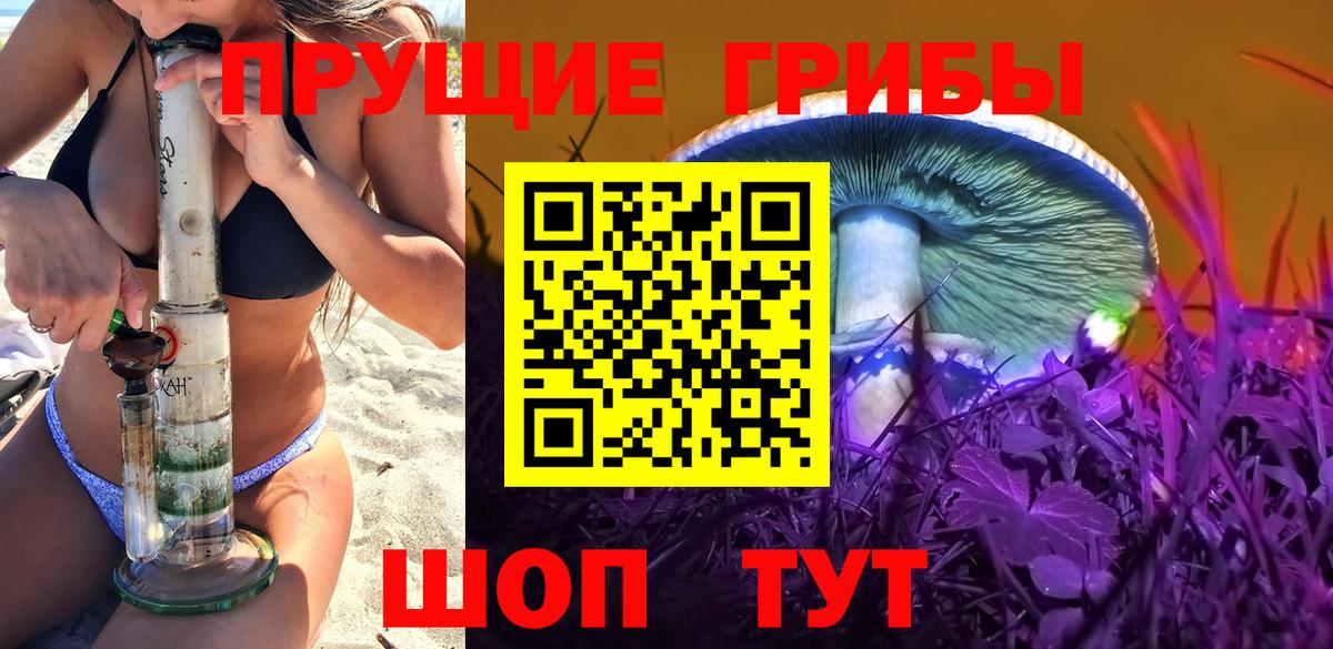 Выкса  Псилоцибиновые грибы Cubensis  Вход с VPN 